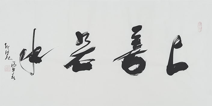 a chinese idiom written in calligraphy