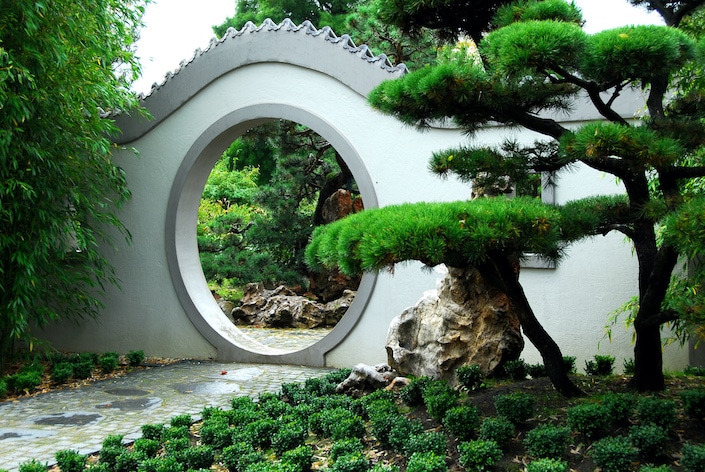 a circular door in a white wall with a pine tree in a traditional Chinese garden