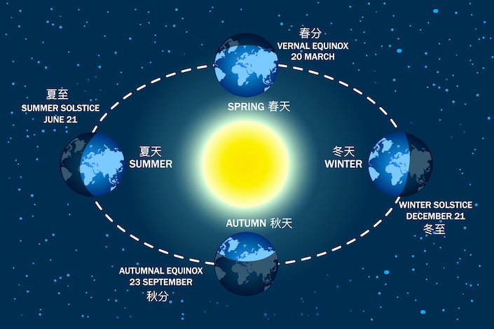 Earth seasons diagram. Autumnal and vernal equinoxes, winter and summer solstices concepts. Illumination of the earth during various seasons. Earth movement around the Sun. Stock vector illustration