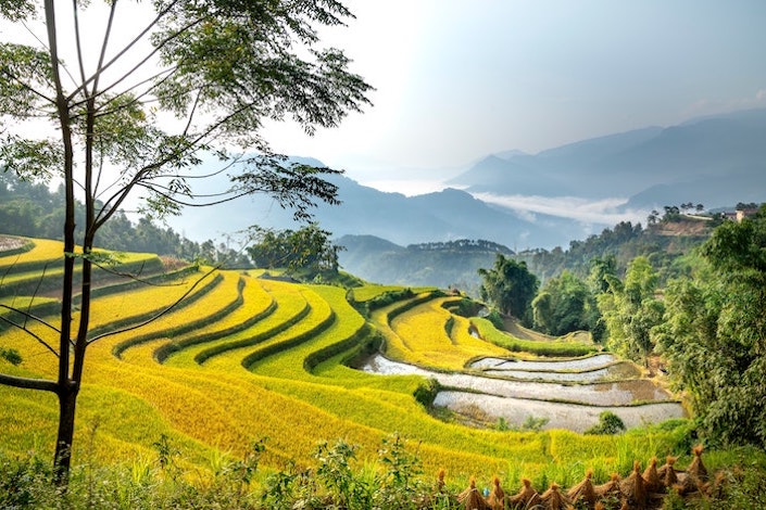 a view from atop traditional Chinese rice terraces looking down into a valley outside Guilin, China